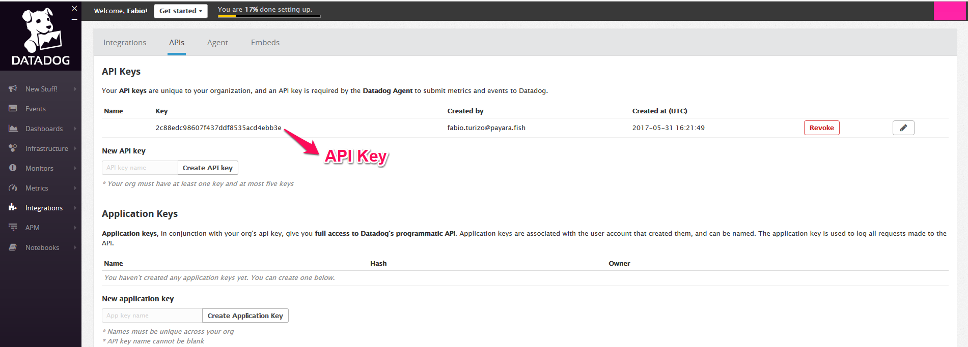 Datadog API Key Panel