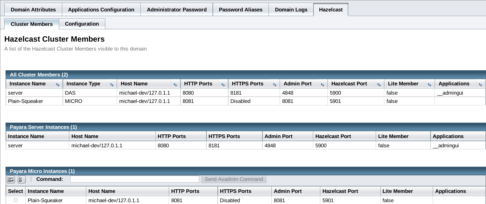 Micro Instances on DAS